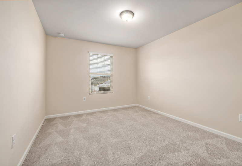 Carpet vacuum marks in an empty room