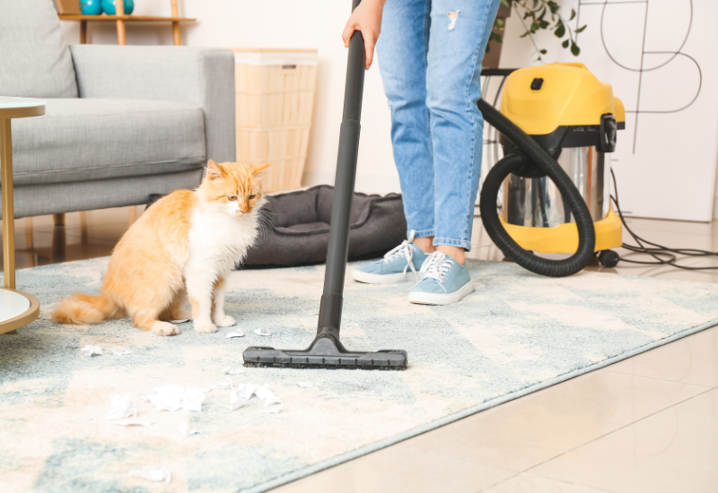 Carpet care with pets