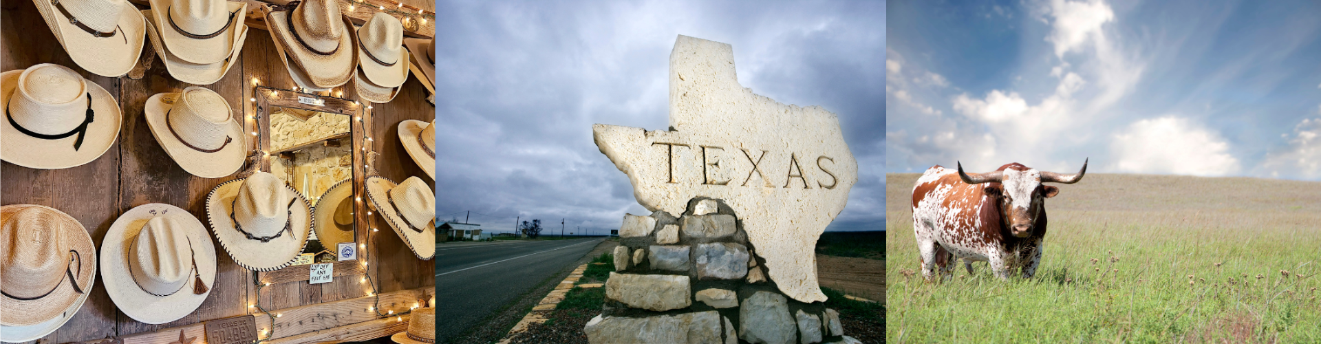 A cow standing next to a stone sign.