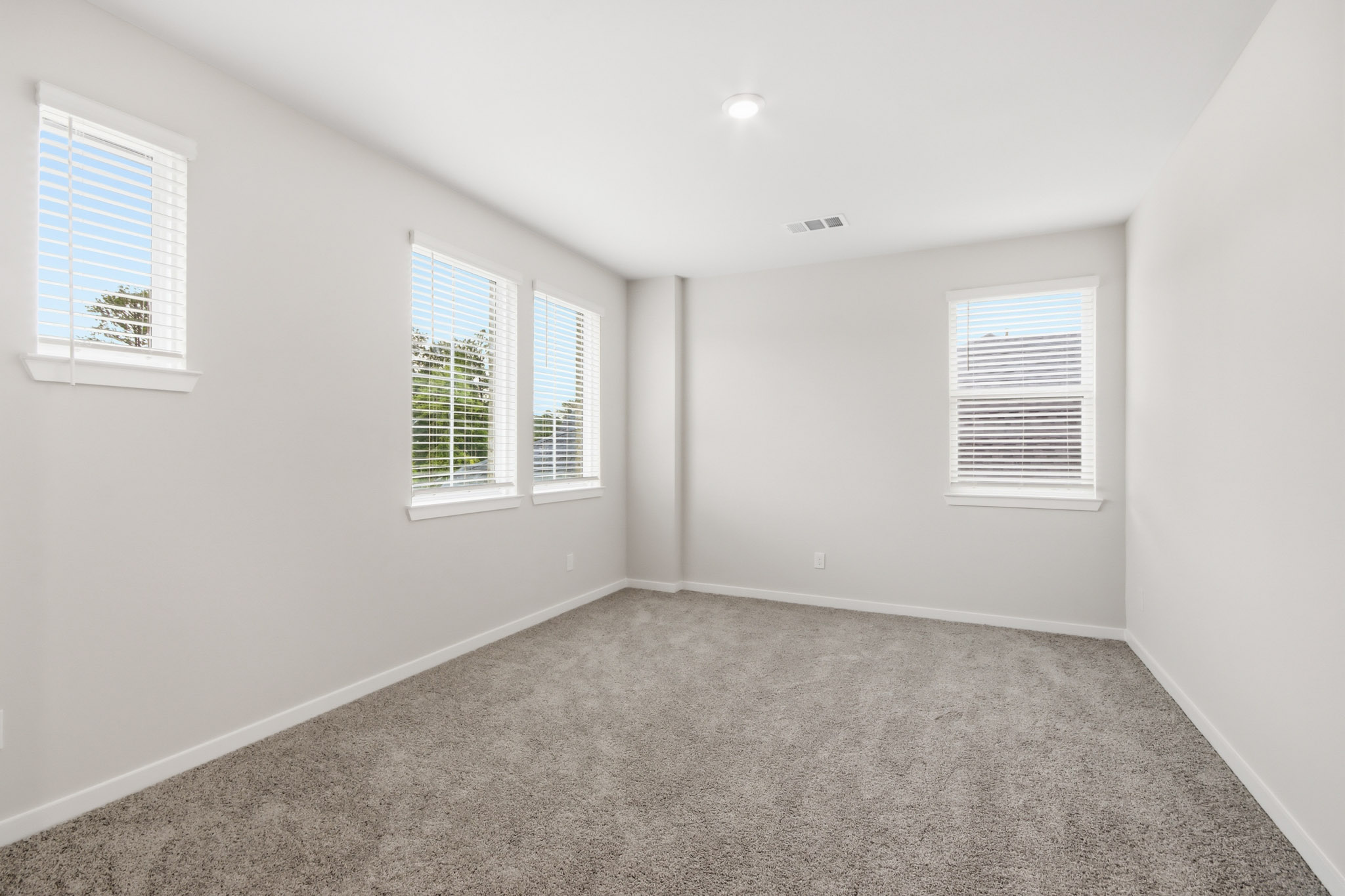 A room with windows and a carpet.