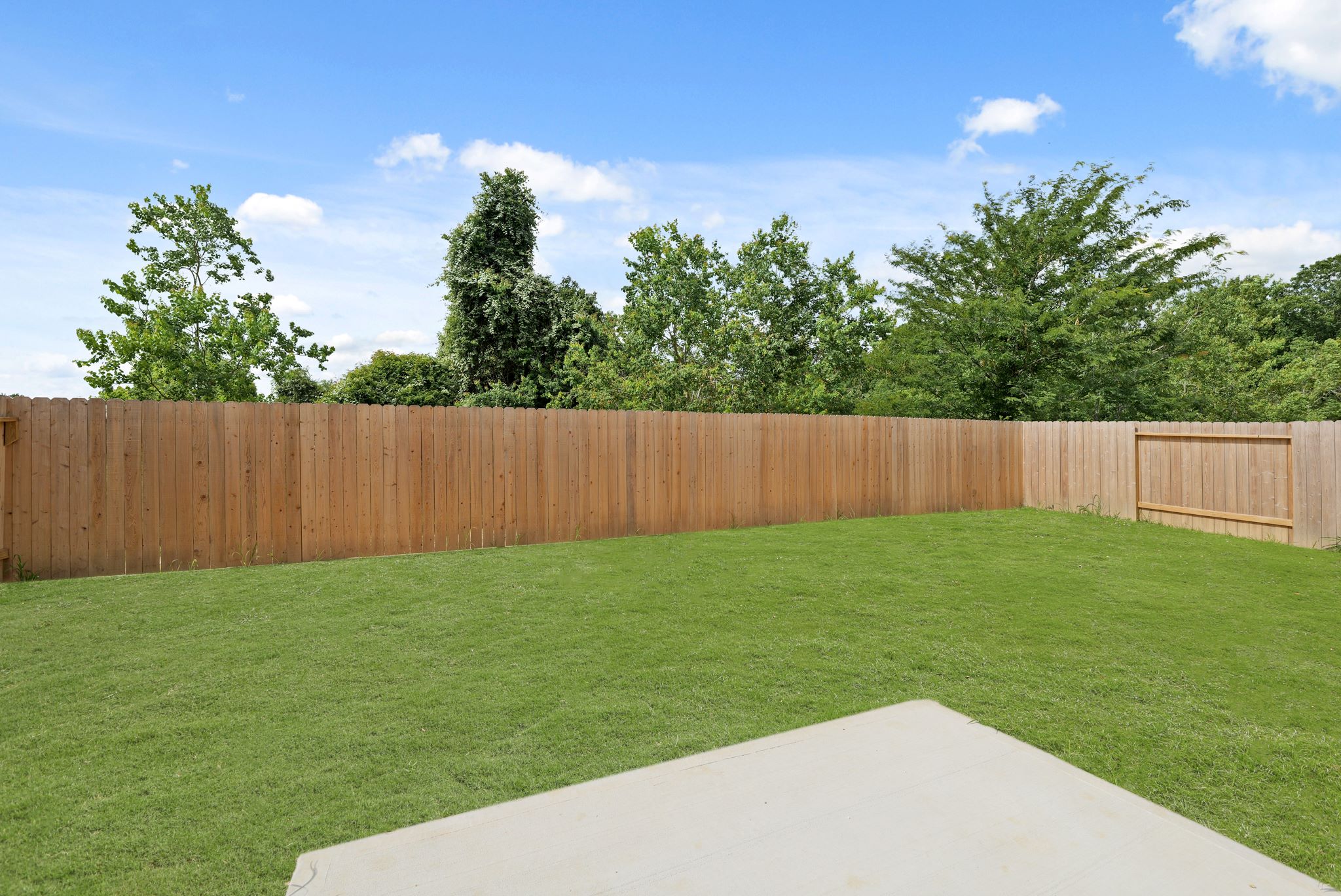A fenced in yard with trees.