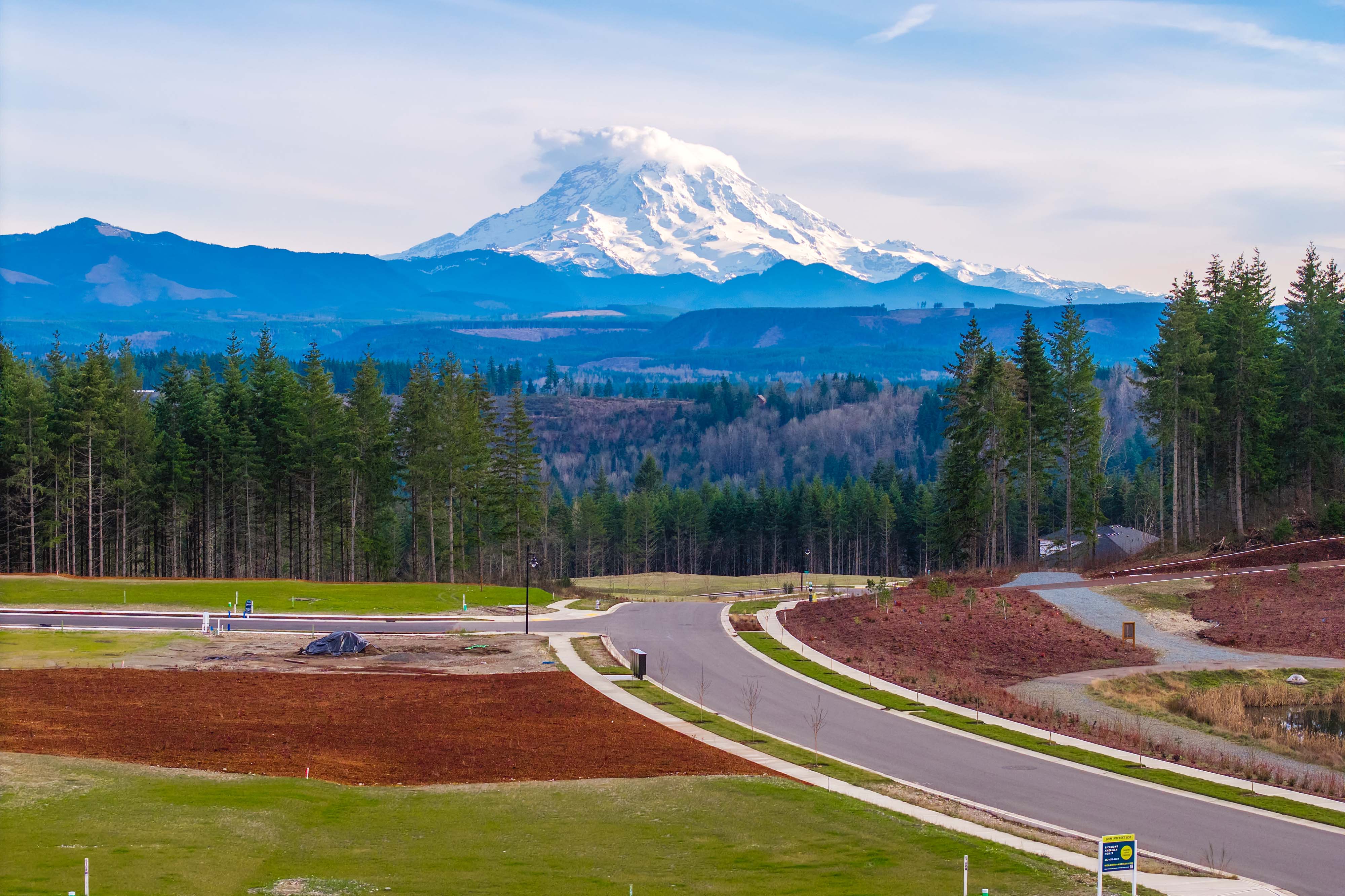 A road leading to a mountain.
