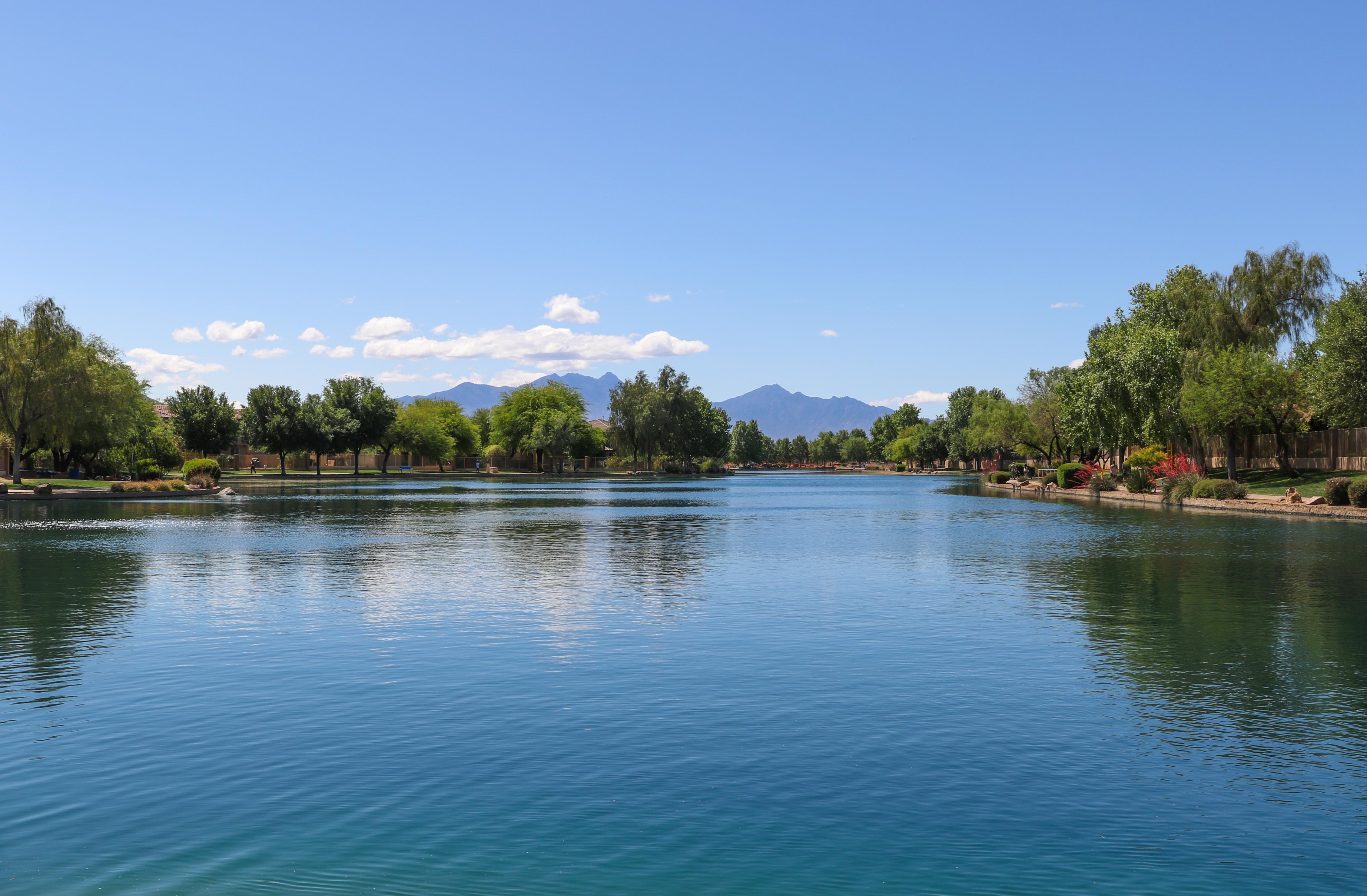 A body of water with trees around it.
